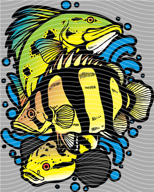 Street design-JT 4365